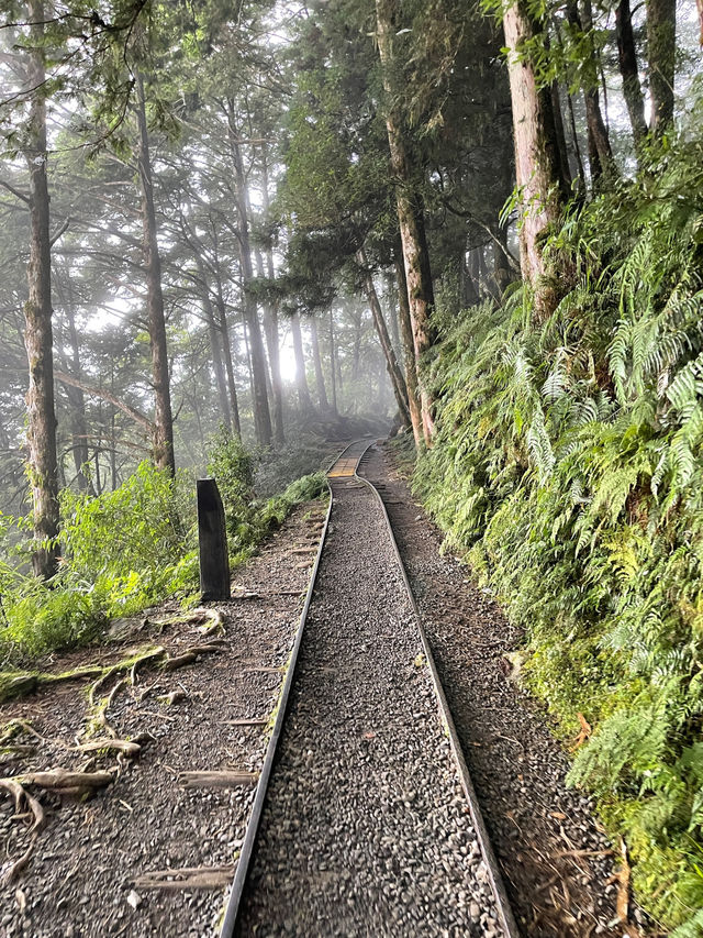 走進舊時光：宜蘭見晴懷古步道漫遊記