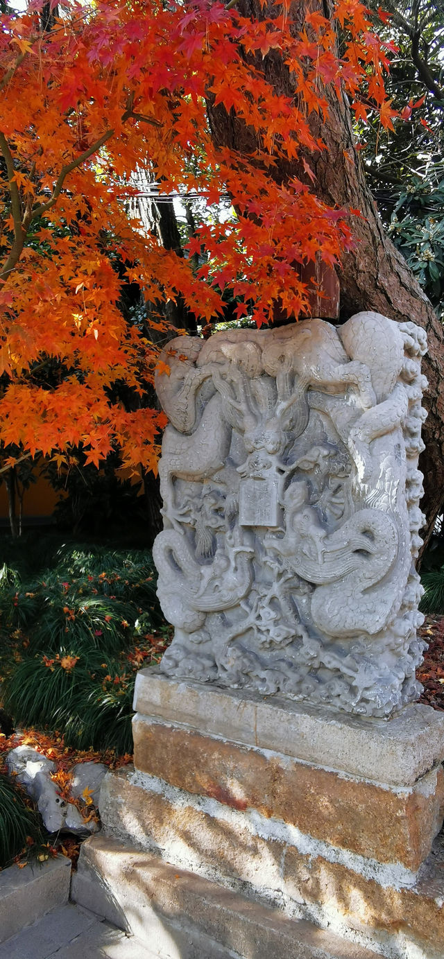 Experience at Longhua Temple