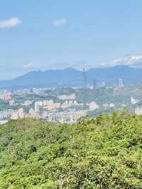 樟山寺漫遊-品茶、賞景與山林靜心之旅