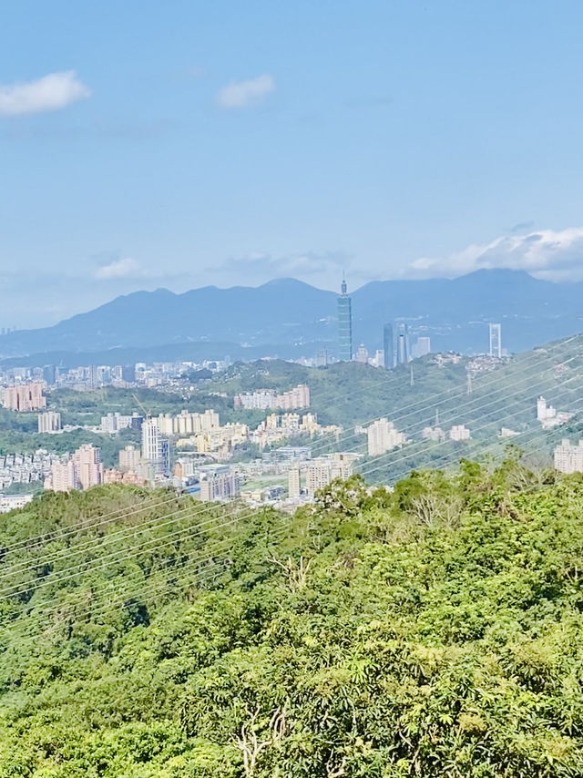 樟山寺漫遊-品茶、賞景與山林靜心之旅