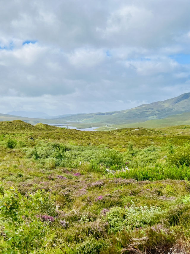 Magical Honeymoon at the Old Man of Storr, Scotland 