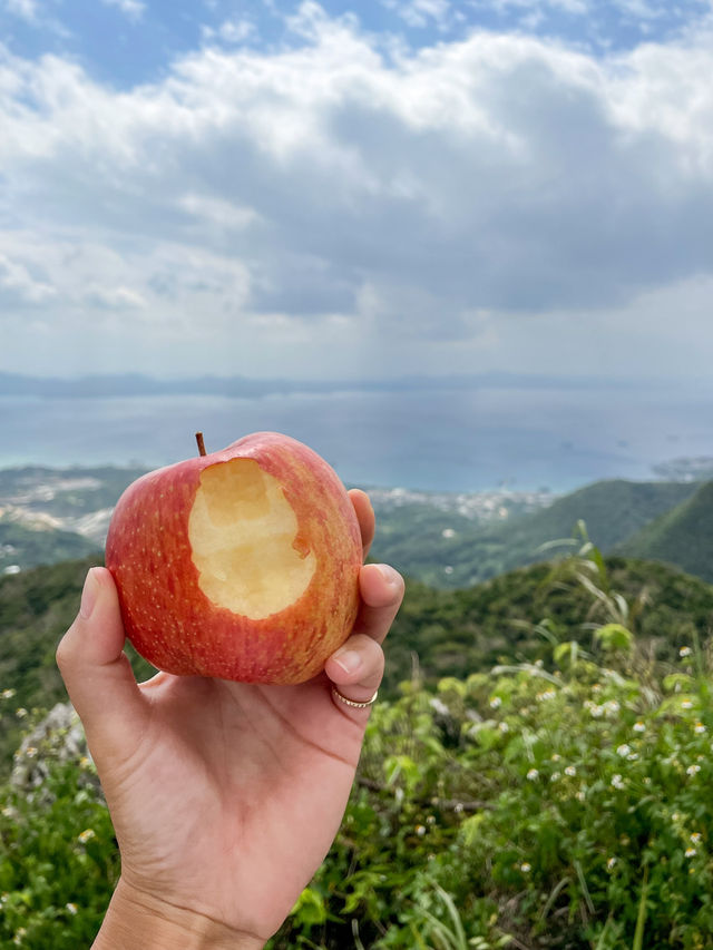 【沖縄】名護市 気分転換に最適！サクッと登れる絶景登山