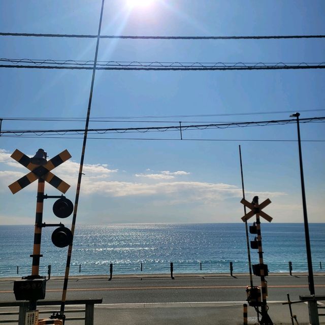 🏝 소도시 감성 여행: 도쿄 근교 가마쿠라 & 에노시마