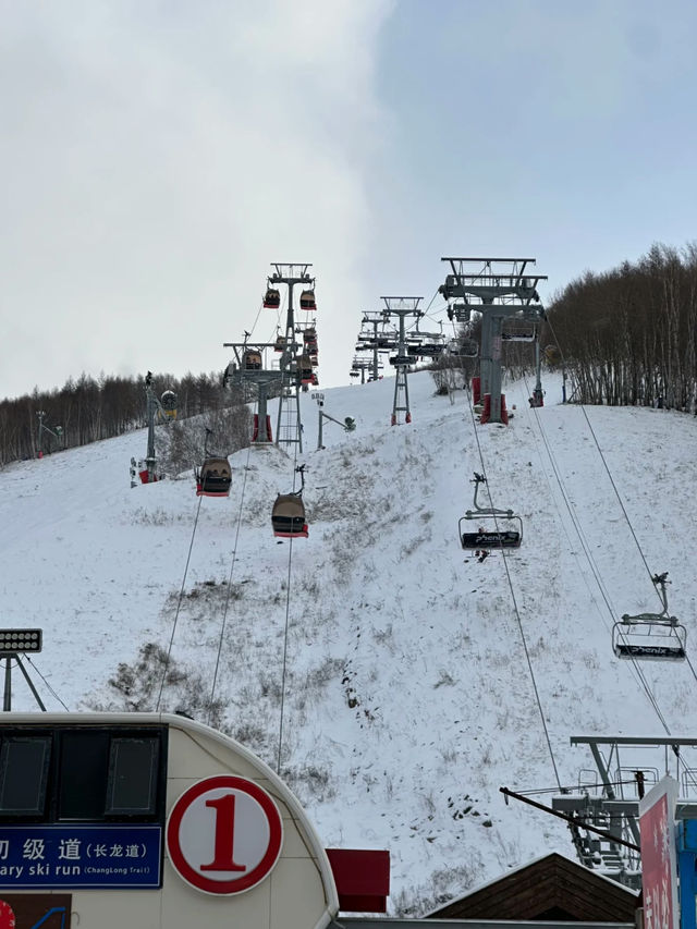 🏔️ Wanlong Ski Resort – The “Davos of China” for Skiing Enthusiasts 🎿❄️