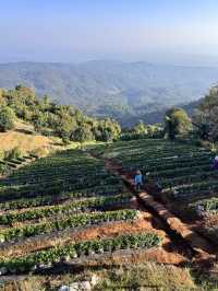 Yoddoi Monjam