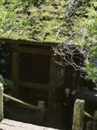 景點推薦：東京近郊・鎌倉報國寺——靜謐竹林中的禪意世界