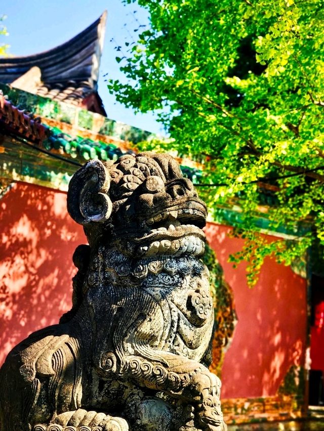 The Charm of Langzhong Ancient City