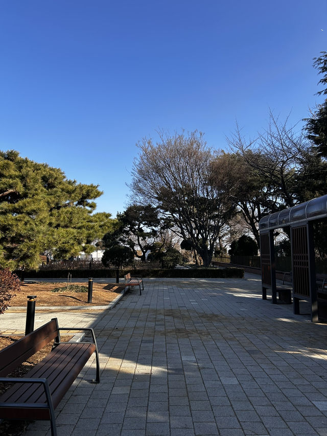 한국 최초의 서구식 공원 이리는 역사적 의미를 가진 인천 자유공원🇰🇷