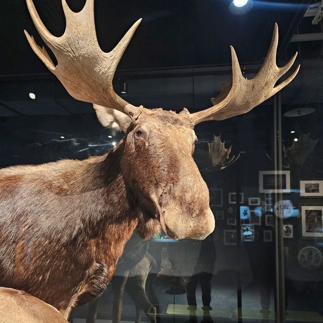 【台北】定期推出不同主題的科學特展，每次展覽都極具教育與娛樂性。