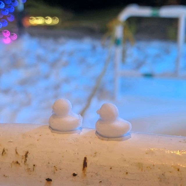 🇯🇵岩手「雫石王子飯店」 東北粉雪天堂，性價比超高的滑雪度假體驗
