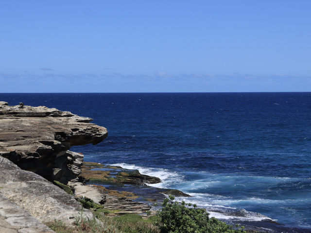 悉尼的海岸奇觀：Bondi to Coogee步道的絕美之旅 🌊🏞️ 