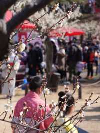 【横浜×大倉山公園梅林】 神奈川の梅の名所