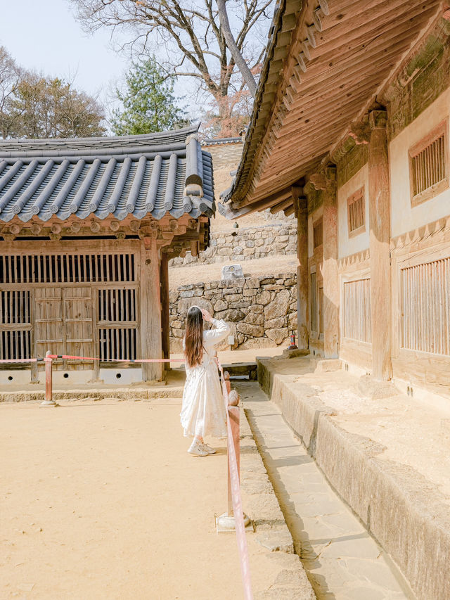고즈넉한 한국 사찰의 매력을 그대로 느낄 수 있는 곳✨