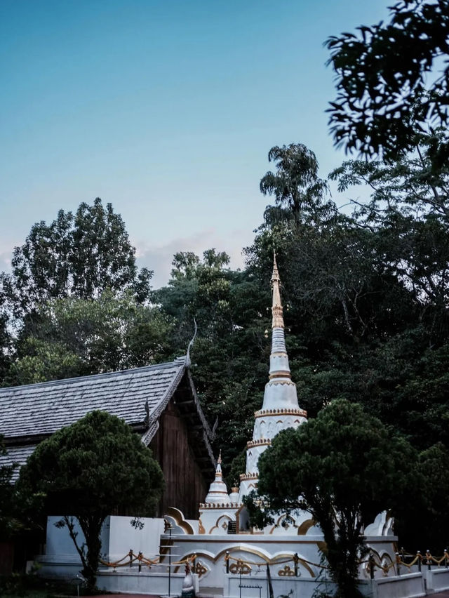 “วัดหลวงขุนวิน” อดีตวัดร้างกลางป่า อายุกว่า 700 ปี