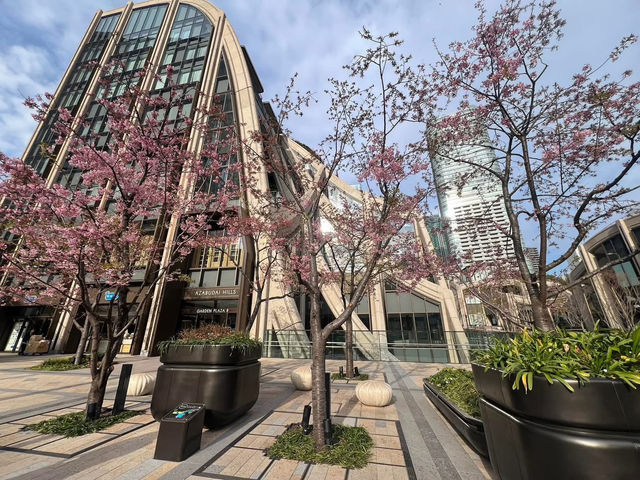麻布台之丘賞櫻美景