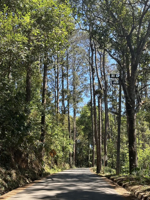 Doi Suthep-Pui National Park