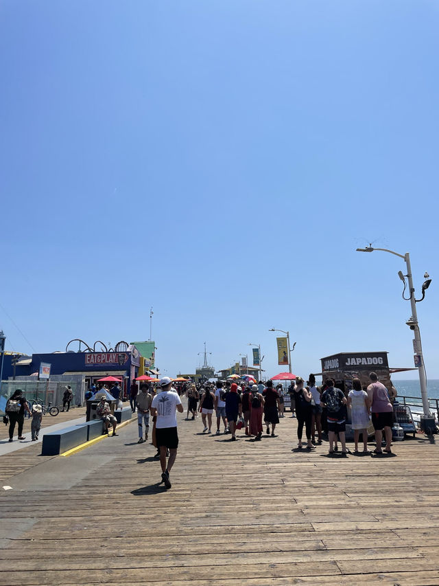 The wheel lit up the Santa Monica Pier