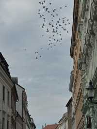 Vienna: A Winter Wonderland of Culture a