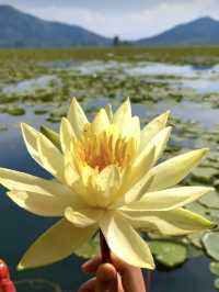 Kashmir in Spring: Where Paradise Comes to Life🌸🏔️