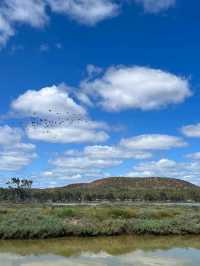 "Kalbarri: Where Nature's Wonders Meet the Ocean"