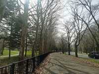 Makomanai Park