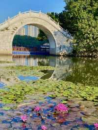 Lizhi Park Is Nature's Perfect Retreat