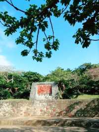 🌸 **森川公園櫻花觀賞遊覽分享** 🌸
