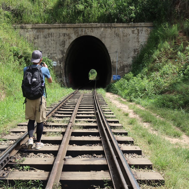 【スリランカ】幻想的な鉄道絶景！ナイン・アーチ・ブリッジ🚂🌿