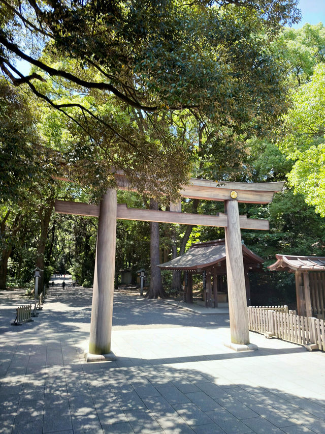 東京：以御茶之水為起點一日遊🏙️