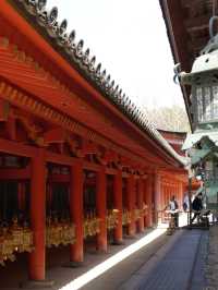 【奈良×春旅】千古の森の中の鮮やかな朱塗りの社殿	