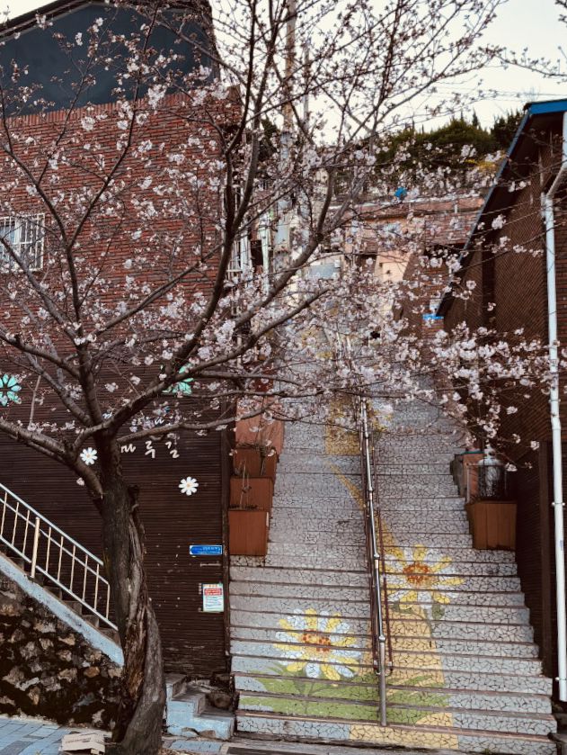 Spring's Hidden Treasure in Busan's Hills 💎🌼