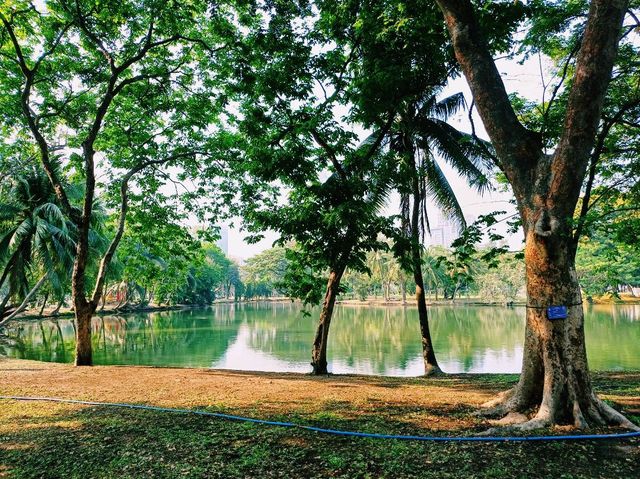 泰國曼谷市中心素坤逸區城市綠洲公園一日遊行程，親子遊行程，素坤逸繁華大道，適合打卡拍照📸親子遊