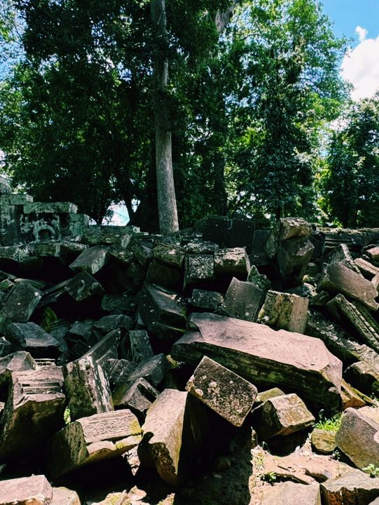 The Enigmatic Ta Prohm Temple: A Tomb Raider Adventure in Siem Reap