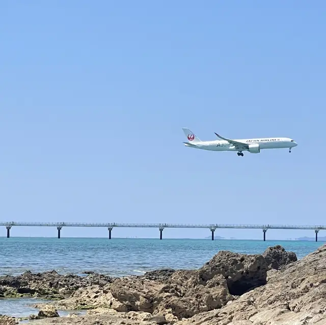 沖縄6日間のカジュアル旅 写真映えルート