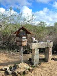 🌿 Discover Española Island – A Wildlife Wonderland! 🦜🐢
