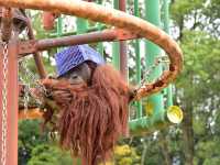 活力 . 愛媛県立とべ動物園