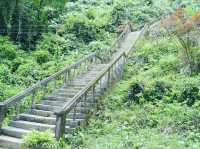 【ラオス】大自然に癒されるアドベンチャーの街、バンビエン🌿⛰️