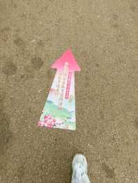 Kunming Zoo จุดชมดอกไม้บาน