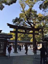 Meiji Shrine ศาลเจ้าแห่งความสงบใจกลางโตเกียว