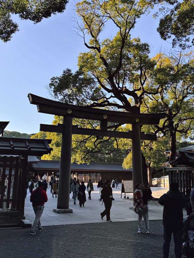 Meiji Shrine ศาลเจ้าแห่งความสงบใจกลางโตเกียว