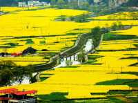 Explore and discover Shuangsha Town