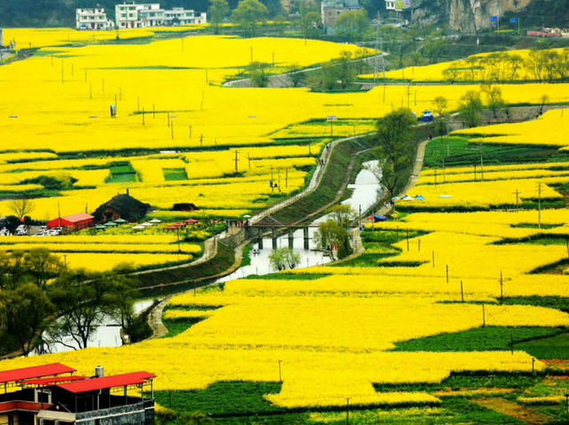 Explore and discover Shuangsha Town