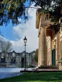 Museum Gardens 