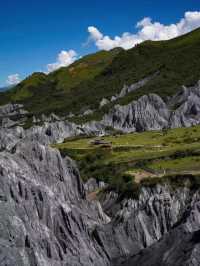 Moshi Park: A Surreal Stone Forest from Another World