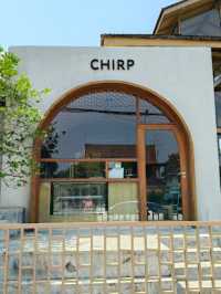 🧀 Chirp Cafe and Chat Space
