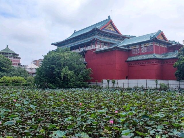 #臺北植物園-臺北市中正區