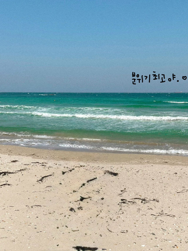 낭만 최고, 포항 바다 여행🦋🌊