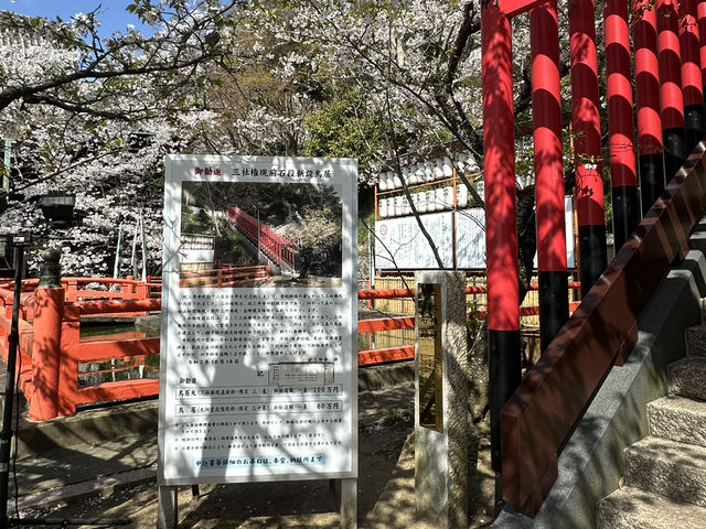 神秘的地方～櫻吹雪🌸