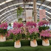 💐✨️The Flask Cafe by Air Orchids🍂🌸