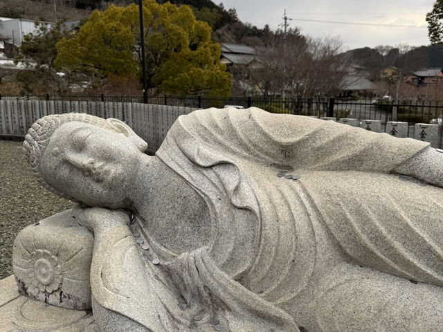 고쇼지 ⛩️: 우치코의 평화로운 신성한 공간